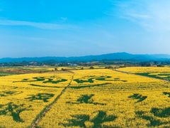 -桤木河湿地公园