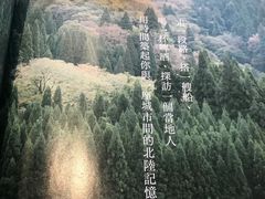 -三里屯东五街银杏大道