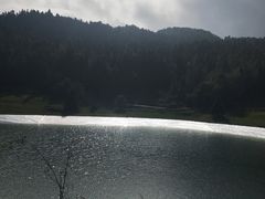 -武陵山森林公园