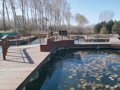 -东郊湿地公园