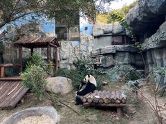 -泉州海丝野生动物世界