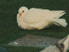 -白鹭洲公园