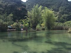 -靖西鹅泉风景区