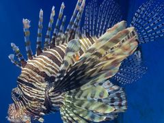 -海合安武汉极地海洋公园