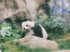 -香港海洋公园
