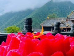 -冕宁灵山寺