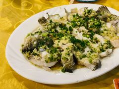 特色香葱淋鲈鱼-粤·向群饭店(泮塘路店)