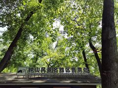 -灵谷景区