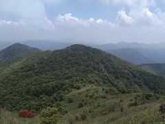 -广州市石门国家森林公园