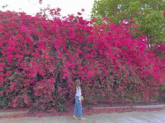 -厦门国家会计学院