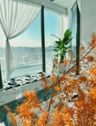 -Sying杉影日式烫染專門店