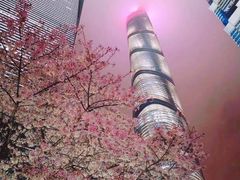 -陆家嘴中心绿地