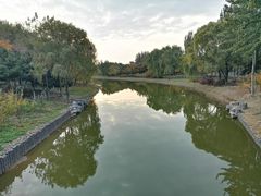 -大兴滨河森林公园