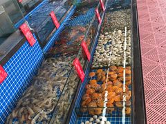 -红月湾海鲜饭店•沙滩海景(双月湾店)