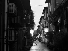 -董厨煨汤馆(车站路店)