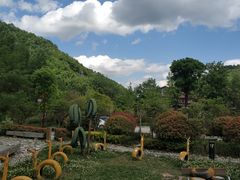 -塔云山