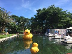 -采粤轩中餐厅(惠州金海湾喜来登度假酒店)
