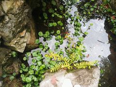 -郭庄茶室
