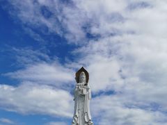 -呼兰河口湿地公园
