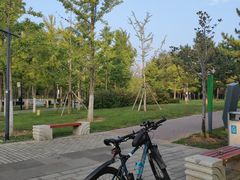 -北坞公园