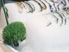 -澳门豆捞(裕华东路店)