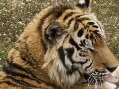 -西霞口神雕山野生动物世界