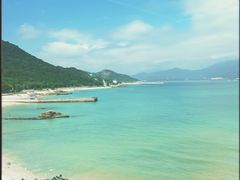 -杨梅坑