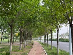 -东堤公园