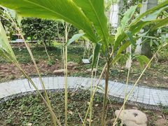 -广州神农草堂中医药博物馆