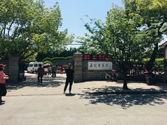 -嘉定紫藤园