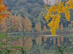 -重庆彩云湖湿地公园