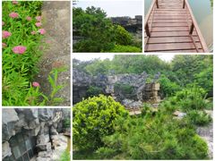 -上海吴淞炮台湾国家湿地公园