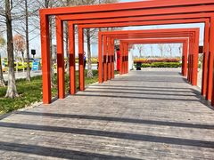 -春花秋色城市公园