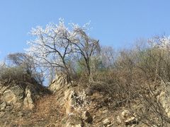 山吧(雁栖镇店)-北京水岸山吧度假村(雁栖镇店)