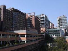 -香港大学