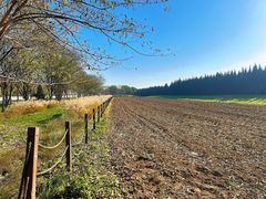 -汉长安城未央宫国家考古遗址公园