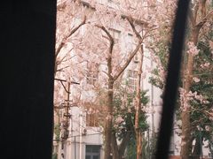 -里面·Noodlology(机电院店)