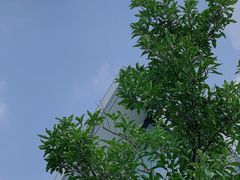-云锦路(地铁站)