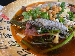 -芙蓉树下冒菜·麻辣烫(农院店)