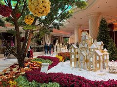 -拉斯维加斯永利酒店