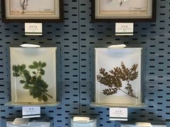 -浙江自然博物院(杭州馆)