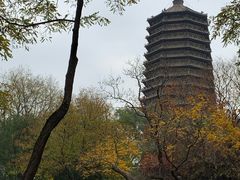 -玲珑塔公园