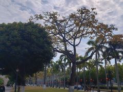 -厦门大学(思明校区)