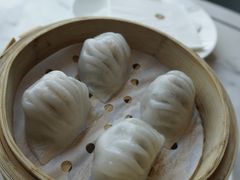 -唐阁海景中餐厅·早茶·粤菜•生日聚餐(海口朗廷酒店)