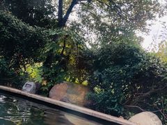 -郑州银基黄帝宫御温泉