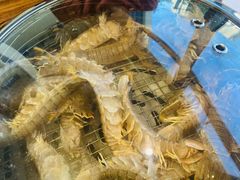 虾爬-海味当家·蒸锅海鲜(星海公园店)