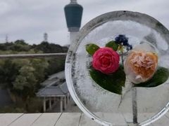 -梧桐山风景名胜区