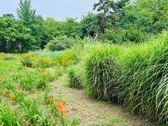 -国家植物园南园