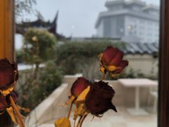 -IFIF 如果花園(宽厚里店)