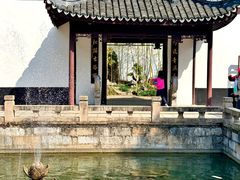 -上海醉白池公园